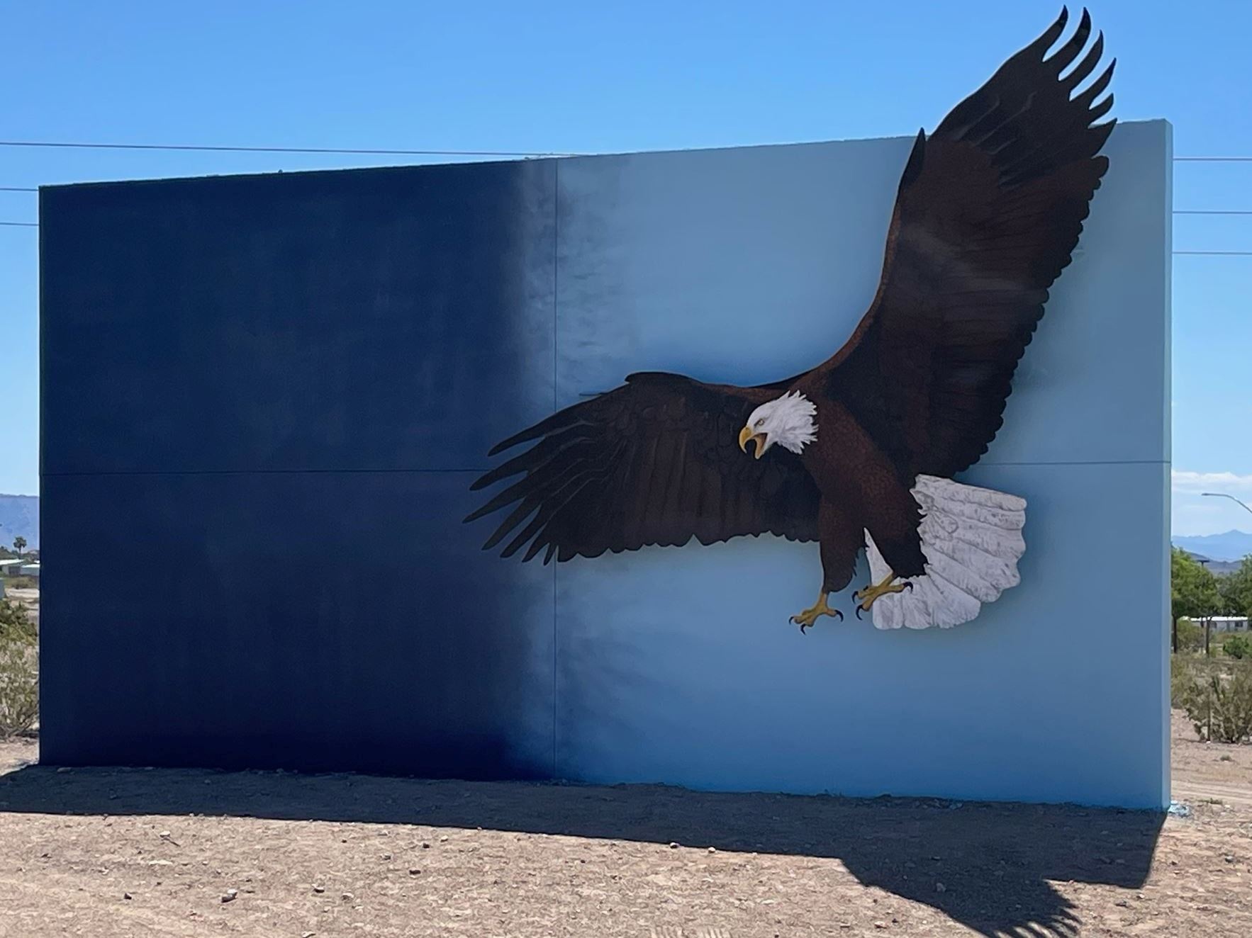 Eagle Sign Installation 3 - 5.13.24.jpeg