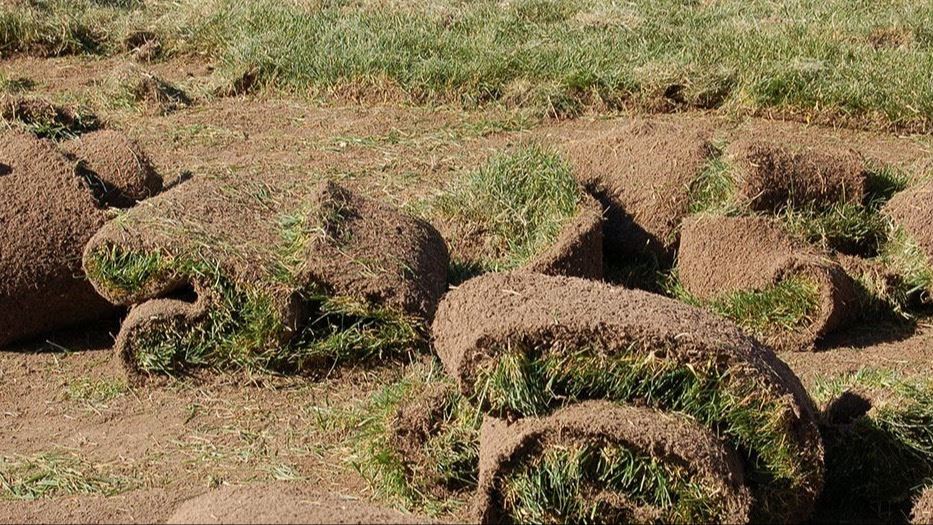 turf removal, turf rolled up turf removal, turf rolled up